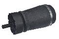 RKB500082_1.jpg